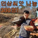 인삼농장 이미지