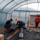 장선농장 이미지