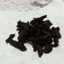 경희신안한의원 이미지