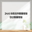 아프리카 동물병원 네이버블로그