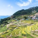 남면로-2 네이버블로그