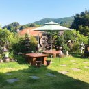 한옥과편백의 만남 이미지