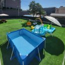 포포퍼피 이미지