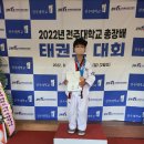 용인대박사태권도장 이미지