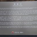 신광신발 | 포항 매화 명소 신광 원법사