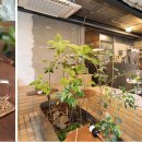 약초원한약국 이미지