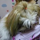 간석4동 새마을금고 이미지