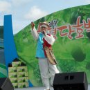 2014년 함평단호박축제 이미지