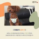 견물화식 이미지