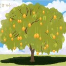 망고나무 이미지