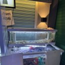 다양  마을회관 | 새마을회관 건대점| 건대 술집 방어와 다양한 안주를 한번에