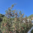 햇터농장 이미지