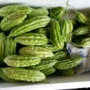 노곡농장 이미지