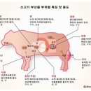 대창건어물 네이버블로그
