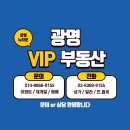 롯데VIP공인중개사사무소 이미지