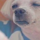나도 - 예산군 수암산로 241 | 나도