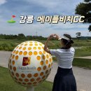 골프장 | 메이플비치cc 강릉 골프장 조인 자세한 후기