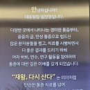 양재마디튼튼의원 네이버블로그