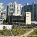 햇살약국 | 대구 경산 매복사랑니 전문 치과 ｜당일 발치 ,비용, 통증 총정리