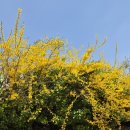 송원길 | 라베이크 베이글, 든든하고 산뜻한 브런치 카페, 곡물베이글 샌드위치 솔직후기