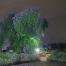 여름도겨울 이미지