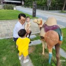 난타(오후) 네이버블로그