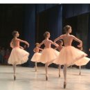 로잔발레학원 이미지