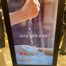 신세계 강남 보앤미 오픈 첫날 방문, 프랑스 줄 서는 빵집 비엔누아즈 • 올리브타이거 내돈내산 후기