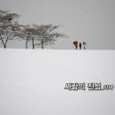 현대시선 밴드 2월의 선정시_발라드_사람의 진심_작사 김민채_가수 청류_작곡 편곡 수노_편집 윤기영 이미지
