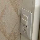 라우루스 이미지