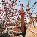 삼청동 코리아 게스트하우스