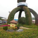웰빙세계