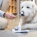 24시 연희동물의료센터 이미지