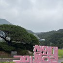 청와대 개방 예약 방법 후기 및 광화문 근처 주차장 꿀팁