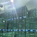 (유)삼정농산푸드 이미지