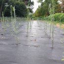 수원-1776 이미지