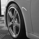 마이온게러지 이미지