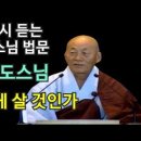 어떻게 살 것인가 / 암도스님 이미지