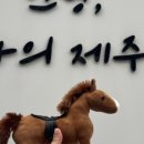 이아섬 이미지