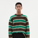 니트나무 이미지