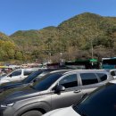 경남식당 | 단양 40년 전통 마늘 떡갈비 맛집 - “경남식당” 솔직후기