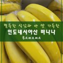삼주유통 이미지