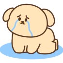 펜션.라온빌리지 이미지