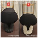 서림주유소 | 용산동필라테스 충주시 재활 체형교정 제이필라테스 스튜디오 가격 위치 리뷰
