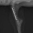 서산동물병원 이미지