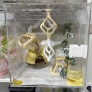 코코컴퍼니 | [사육장/용품] 게코몽 아크릴 큐브 사육장 후기 :: 코코야 디올아 이사 갈 준비하자!