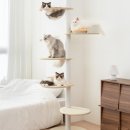 오로라 캣 이미지