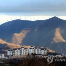 도시의 아침 이미지