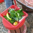 하이디코리아 이미지