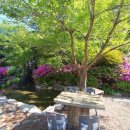 정선 자연속으로 펜션 | 정선펜션 - 정선자연속으로펜션에 다녀왔습니다